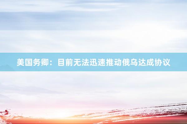 美国务卿：目前无法迅速推动俄乌达成协议