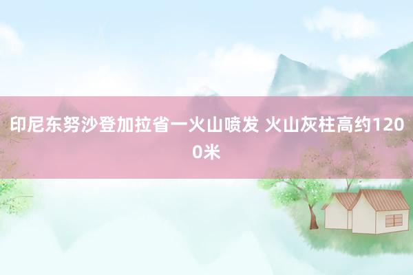 印尼东努沙登加拉省一火山喷发 火山灰柱高约1200米