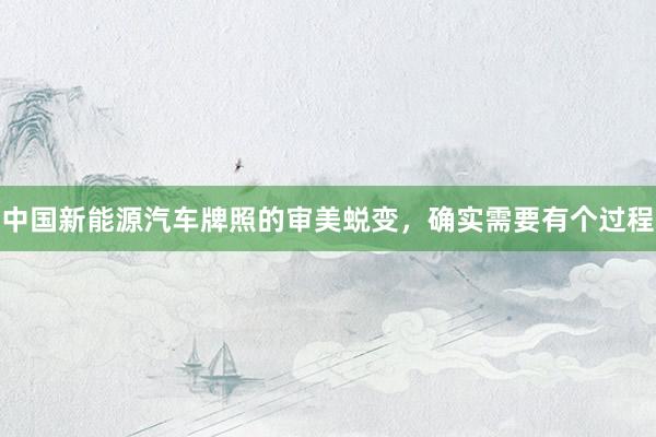 中国新能源汽车牌照的审美蜕变，确实需要有个过程