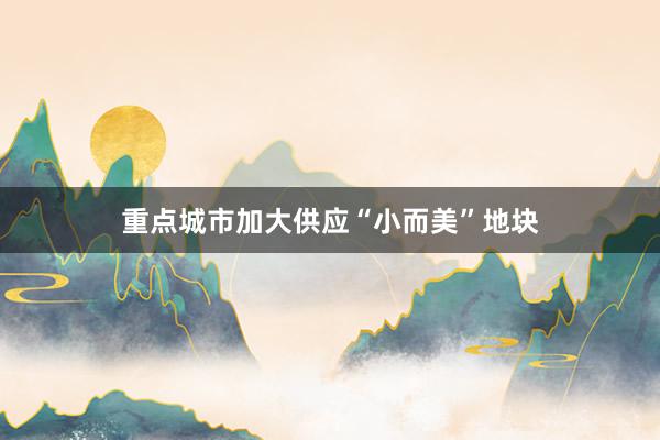 重点城市加大供应“小而美”地块