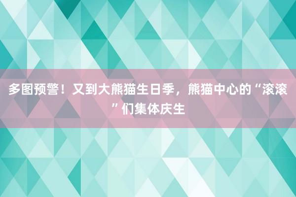 多图预警！又到大熊猫生日季，熊猫中心的“滚滚”们集体庆生