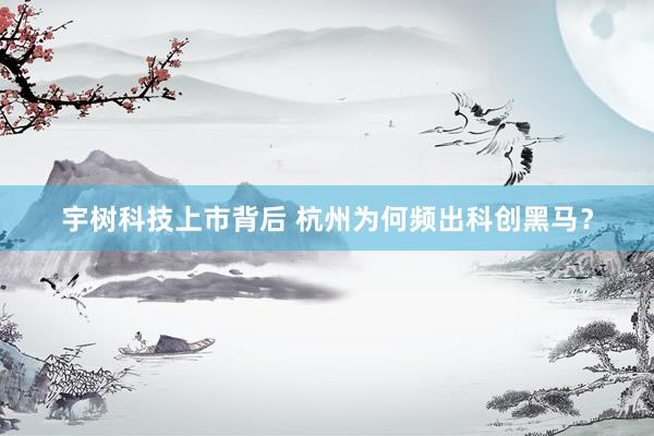 宇树科技上市背后 杭州为何频出科创黑马？