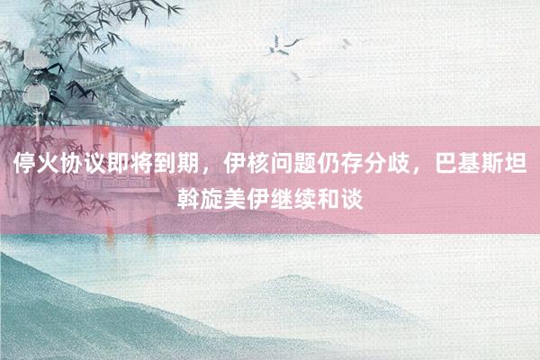 停火协议即将到期，伊核问题仍存分歧，巴基斯坦斡旋美伊继续和谈