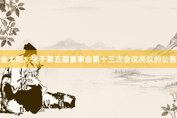 金太阳：关于第五届董事会第十三次会议决议的公告