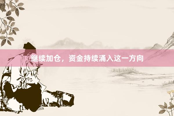 继续加仓，资金持续涌入这一方向