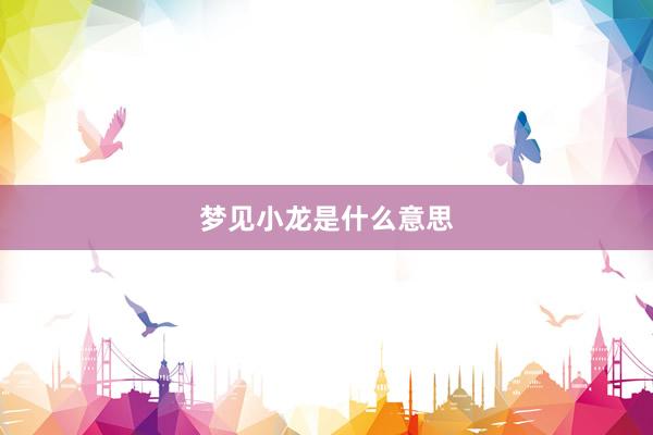 梦见小龙是什么意思