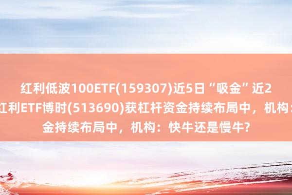 红利低波100ETF(159307)近5日“吸金”近2000万元,港股红利ETF博时(513690)获杠杆资金持续布局中,机构:快牛还是慢牛?