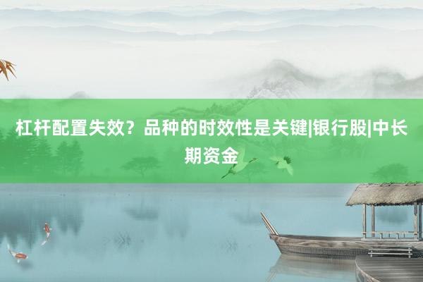 杠杆配置失效？品种的时效性是关键|银行股|中长期资金
