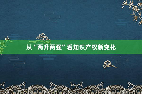 从“两升两强”看知识产权新变化