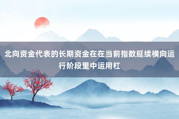北向资金代表的长期资金在在当前指数延续横向运行阶段里中运用杠