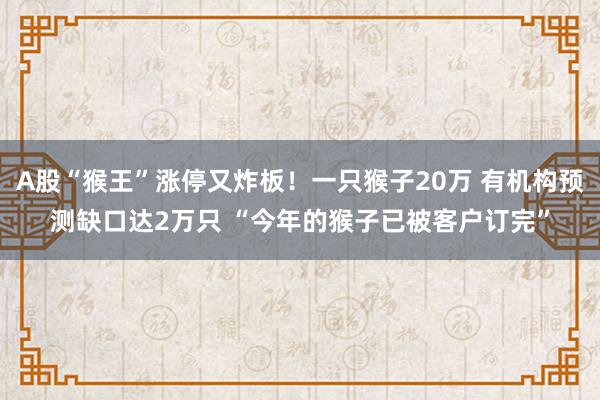 A股“猴王”涨停又炸板！一只猴子20万 有机构预测缺口达2万只 “今年的猴子已被客户订完”