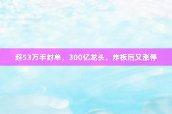 超53万手封单，300亿龙头，炸板后又涨停