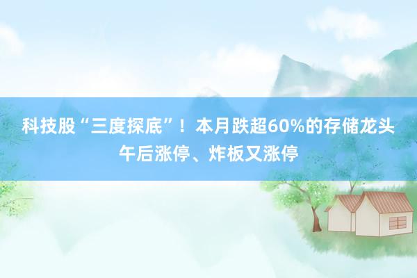 科技股“三度探底”！本月跌超60%的存储龙头午后涨停、炸板又涨停