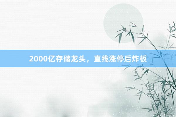 2000亿存储龙头，直线涨停后炸板
