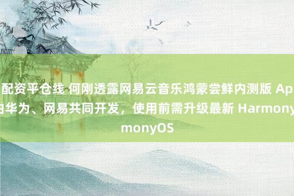 配资平仓线 何刚透露网易云音乐鸿蒙尝鲜内测版 App 由华为、网易共同开发，使用前需升级最新 HarmonyOS