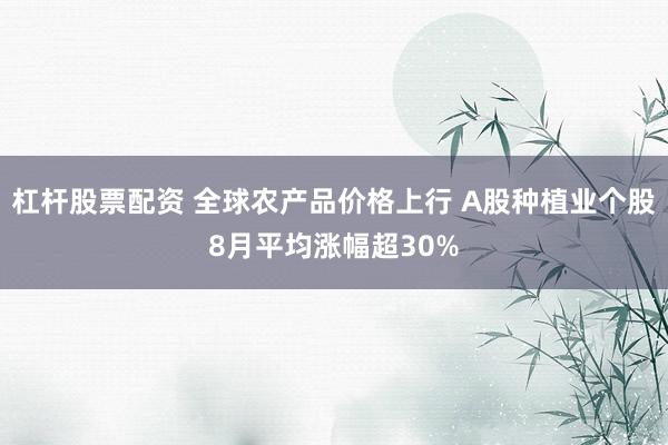 杠杆股票配资 全球农产品价格上行 A股种植业个股8月平均涨幅超30%