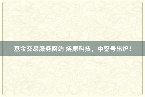 基金交易服务网站 燧原科技，中签号出炉！
