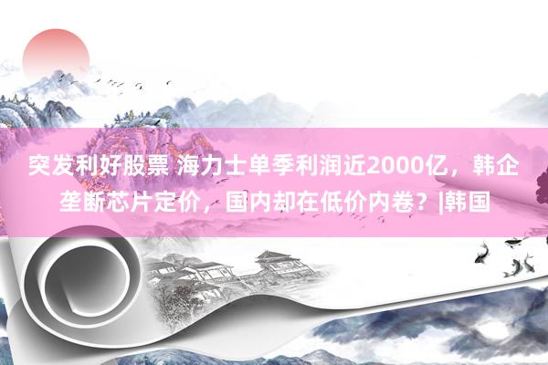 突发利好股票 海力士单季利润近2000亿，韩企垄断芯片定价，国内却在低价内卷？|韩国