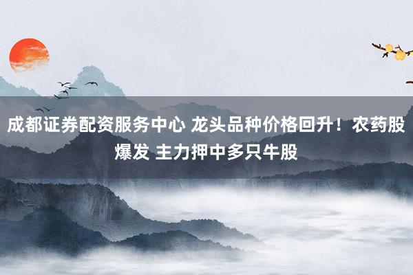 成都证券配资服务中心 龙头品种价格回升！农药股爆发 主力押中多只牛股