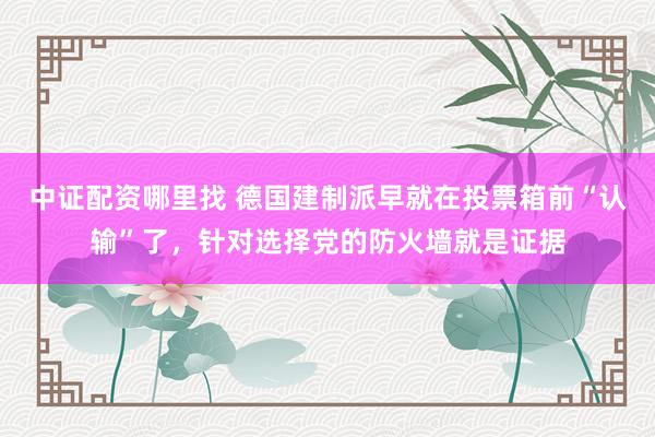 中证配资哪里找 德国建制派早就在投票箱前“认输”了，针对选择党的防火墙就是证据