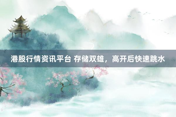 港股行情资讯平台 存储双雄,高开后快速跳水