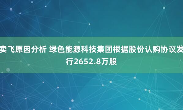 卖飞原因分析 绿色能源科技集团根据股份认购协议发行2652.8万股