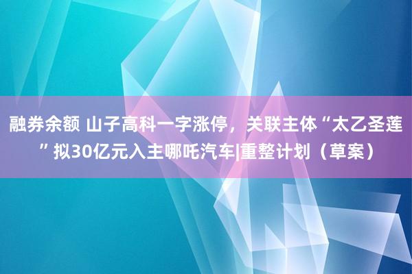 融券余额 山子高科一字涨停，关联主体“太乙圣莲”拟30亿元入主哪吒汽车|重整计划（草案）