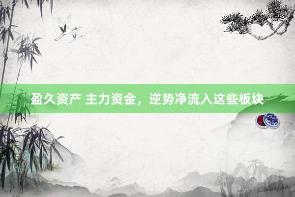 盈久资产 主力资金，逆势净流入这些板块