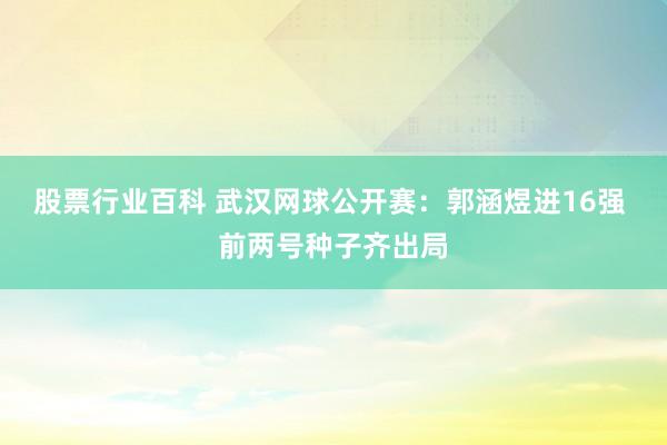 股票行业百科 武汉网球公开赛：郭涵煜进16强 前两号种子齐出局