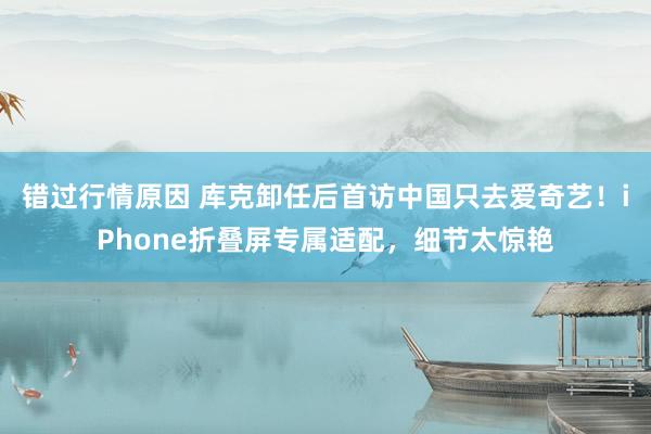 错过行情原因 库克卸任后首访中国只去爱奇艺！iPhone折叠屏专属适配，细节太惊艳